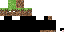 Texture for mr terra