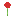 Texture for Red.Rose