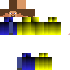 Texture for Steve panel