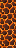 Texture for MagmaBlockAnimated