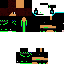 Texture for steve3
