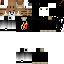 Texture for lion