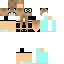 Texture for dasha