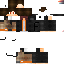 Texture for steve