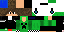 Texture for leonzao7