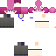 Texture for Mini84