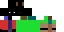 Texture for spion