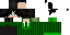 Texture for The Once-ler