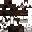Texture for ninja fantom
