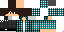 Texture for stev