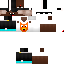 Texture for fhmh mk