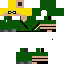 Texture for steve