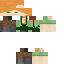 Texture for dsd