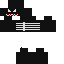 Texture for FELIPE5