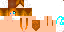 Texture for chimpanze