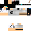 Texture for FelipeGamerr1
