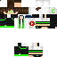 Texture for ds