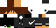 Texture for MrSpary