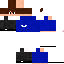 Texture for Delphox YT 190