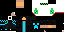 Texture for Steve 341
