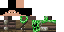 Texture for Steve Edit
