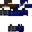 Texture for ds
