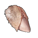 Texture for ddd
