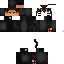 Texture for Leo cat