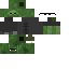 Texture for SWAT