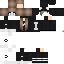 Texture for steve