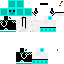 Texture for steve