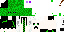 Texture for Ender