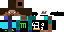 Texture for hASI