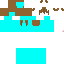 Texture for cbv