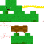 Texture for Turtle