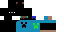 Texture for cnt