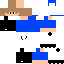 Texture for GABRIEL