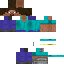 Texture for Steve