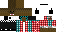 Texture for i Raphahell