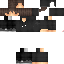 Texture for Nestor