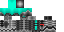 Texture for astronaut tim