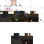 Texture for Scout