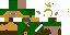 Texture for Link