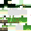 Texture for y5