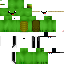 Texture for RJDERP TURTLE CLOAK