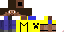 Texture for maustar