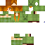 Texture for Cupa