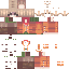 Texture for Ashley Graham