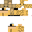 Texture for IIsCheetah