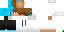 Texture for CreeperFarts